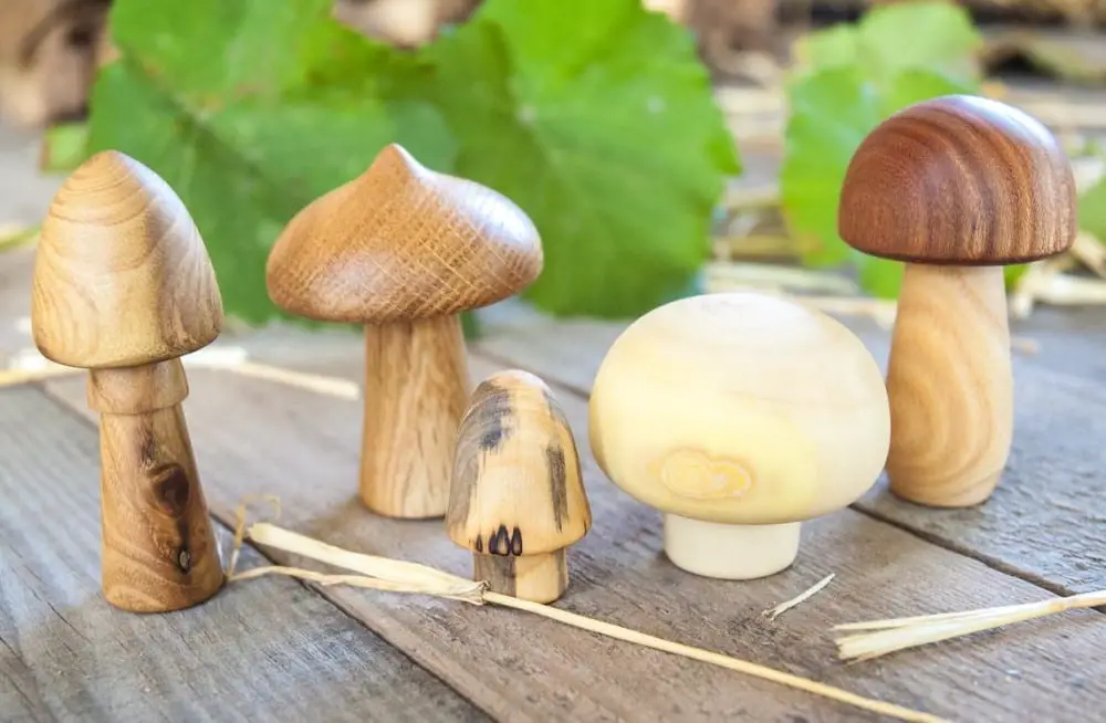 Mamuma Bird Brand Assorted Natural Wood Grain Mushroom Toys