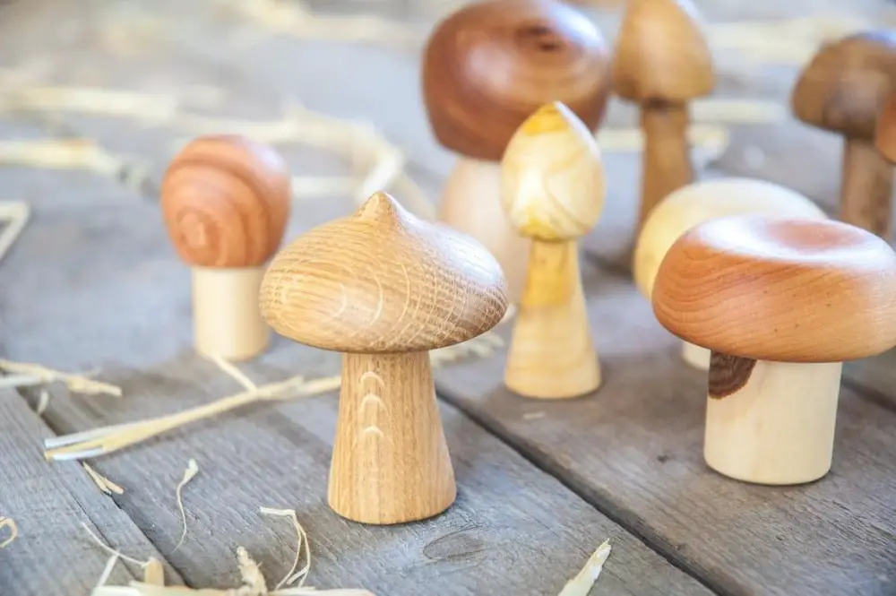 Mamuma Bird Brand Assorted Organic Wooden Mushroom Kids Toys