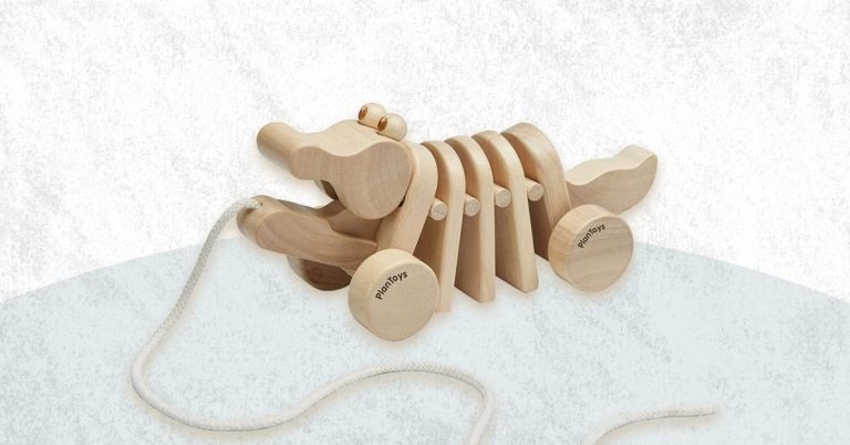 best wooden pull along toy for baby and toddler