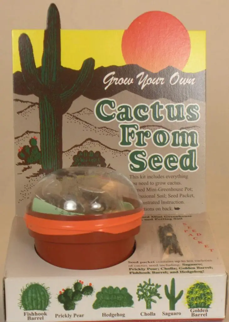 bach cactus from seed stocking stuffer mini cactus potting set