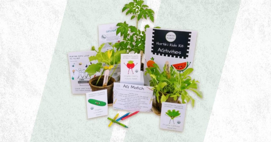 Best Toddler Plant Growing Kit For Flowers Veggies Herbs Greens 1024x536 