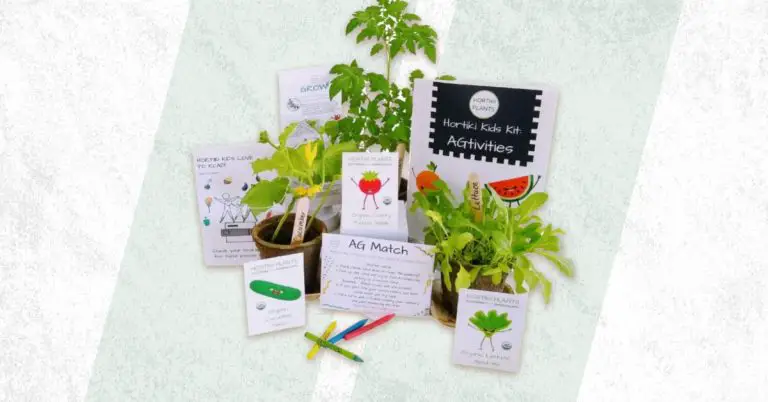 best toddler plant growing kit for flowers veggies herbs greens
