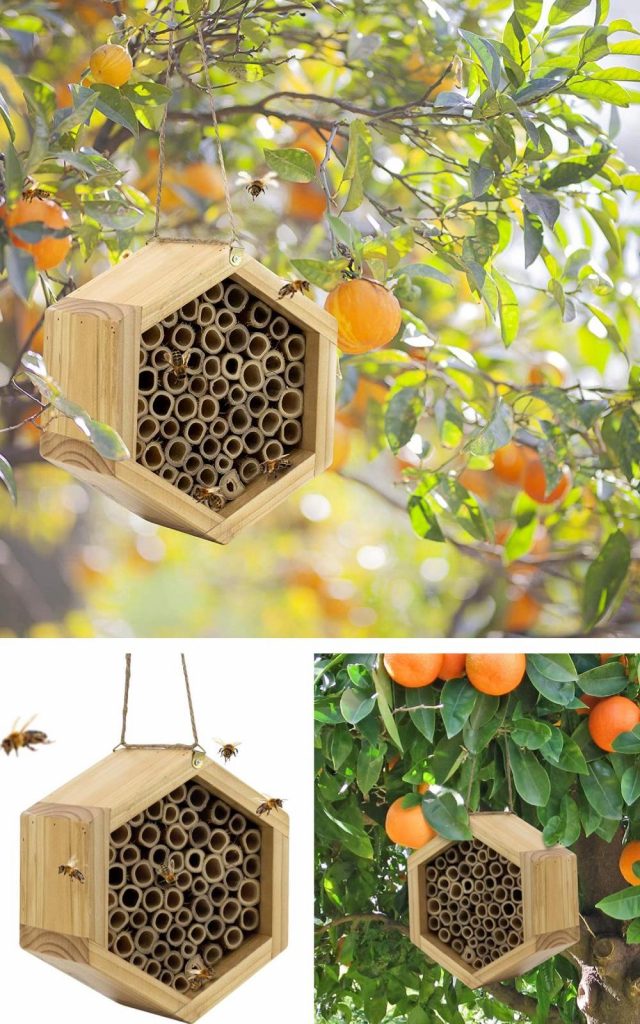 kibaga natural bamboo mason bee house and hexagon bee hive