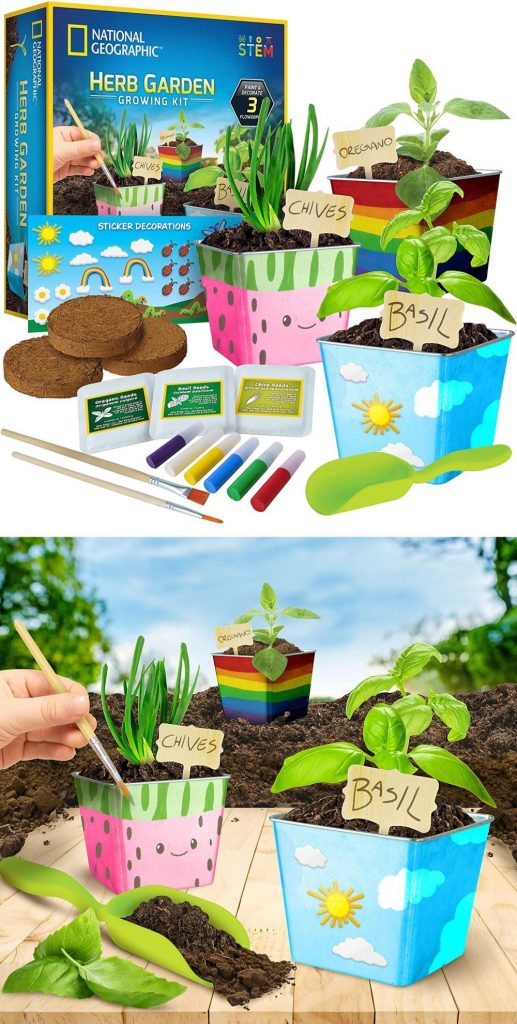 national geographic arts and crafts herb growing kit with pots paint stickers