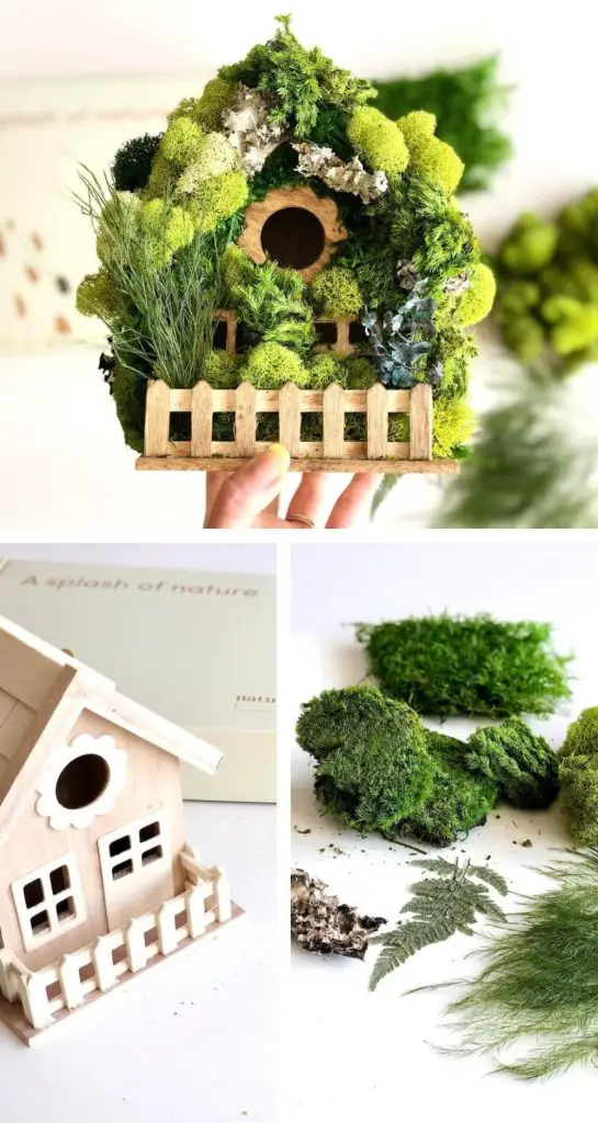 naturely box natural moss whimsical birdhouse craft kit