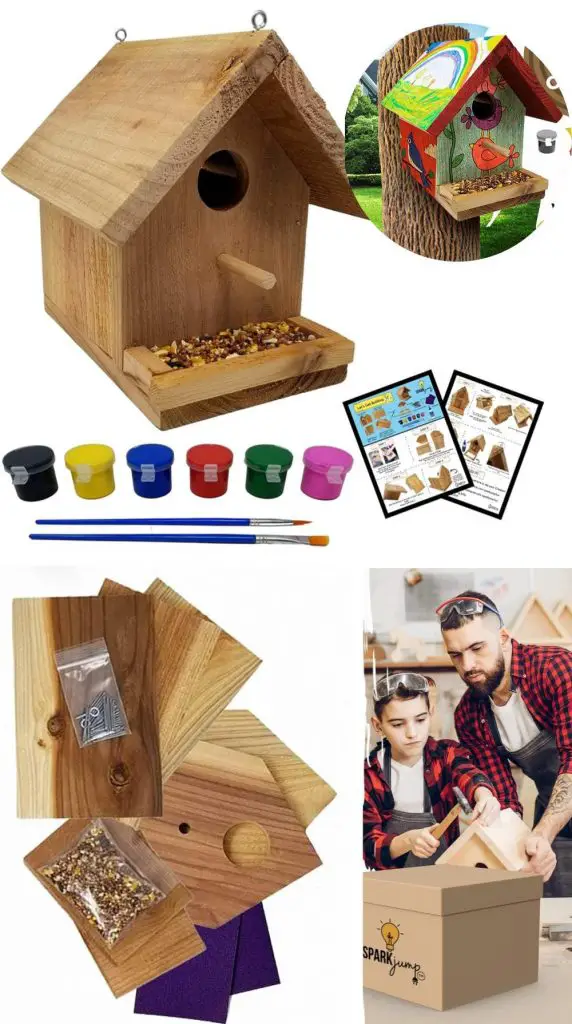 sparkjump educators natural choice solid wood birdhouse kit bulk orders