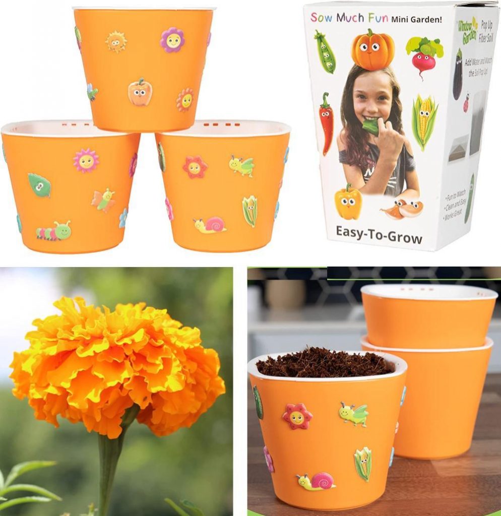 window garden sow much fun seed starter and planter with stickers