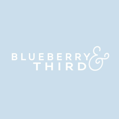 virginia montessori wooden activity sets brand blueberry third