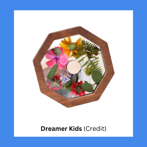 Dreamer Kids DIY Natural Chamber Kaleidescope